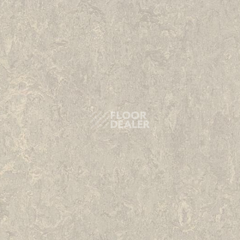 Forbo Marmoleum Marbled Authentic 3136 concrete фото 1 | FLOORDEALER